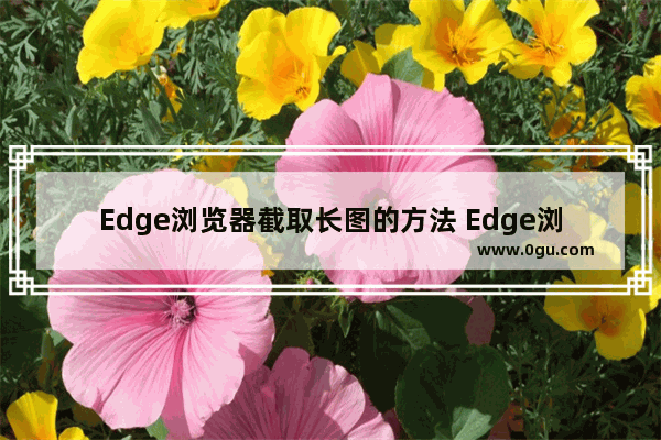 Edge浏览器截取长图的方法 Edge浏览器如何截长图