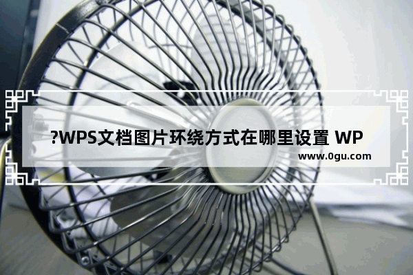 ?WPS文档图片环绕方式在哪里设置 WPS文档电脑版设置图片环绕方式的方法教程