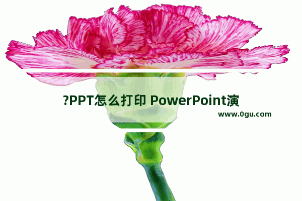 ?PPT怎么打印 PowerPoint演示文稿进行打印的方法教程