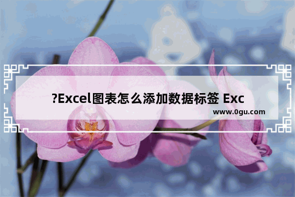 ?Excel图表怎么添加数据标签 Excel表格为图表添加数据标签的方法教程