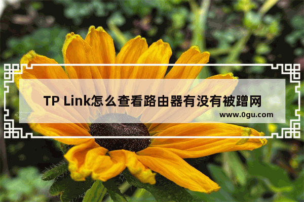 TP Link怎么查看路由器有没有被蹭网