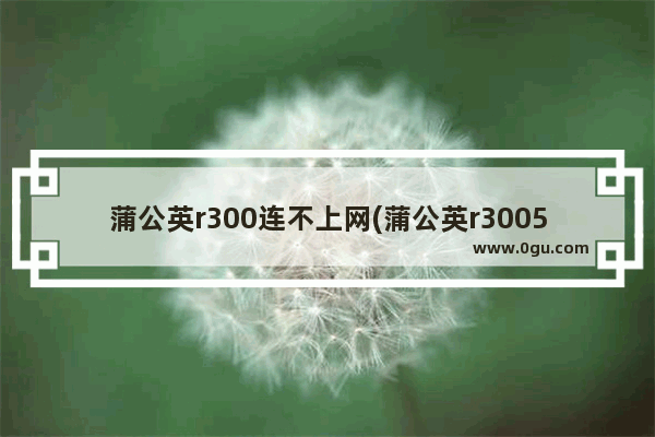 蒲公英r300连不上网(蒲公英r3005g)