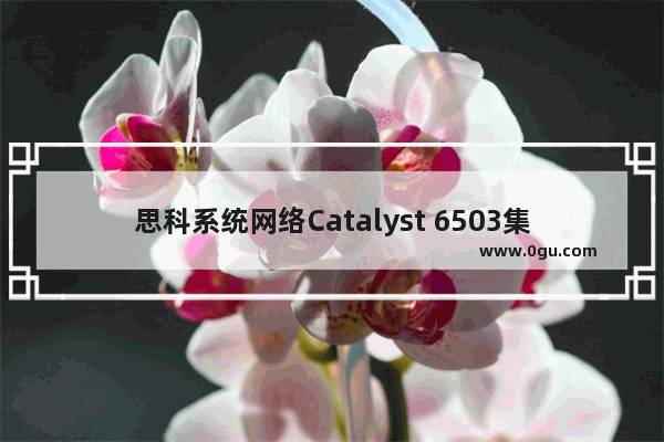 思科系统网络Catalyst 6503集成服务高端交换机