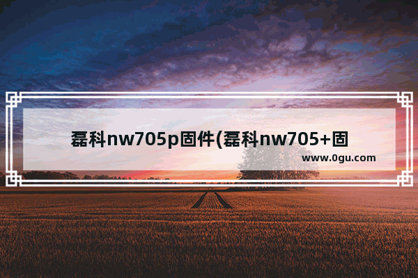 磊科nw705p固件(磊科nw705+固件)