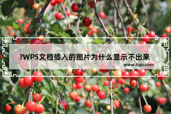 ?WPS文档插入的图片为什么显示不出来 WPS文档电脑版让图片显示出来的方法教程