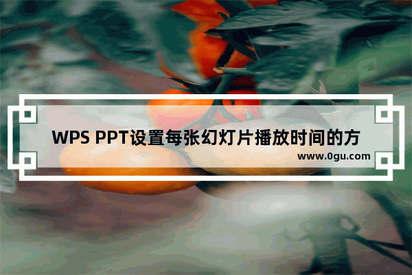 WPS PPT设置每张幻灯片播放时间的方法 WPS PPT怎么设置每张幻灯片的播放时间