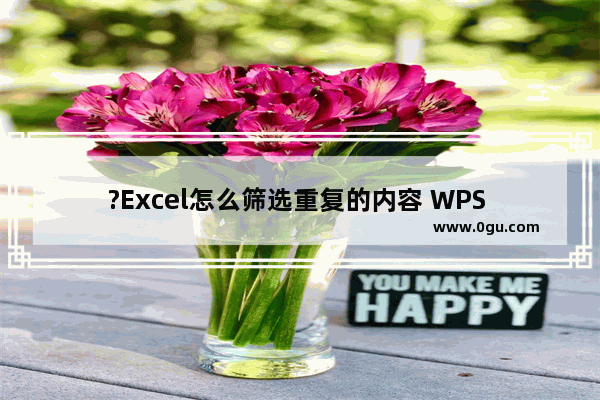 ?Excel怎么筛选重复的内容 WPS Excel筛选重复内容的方法教程