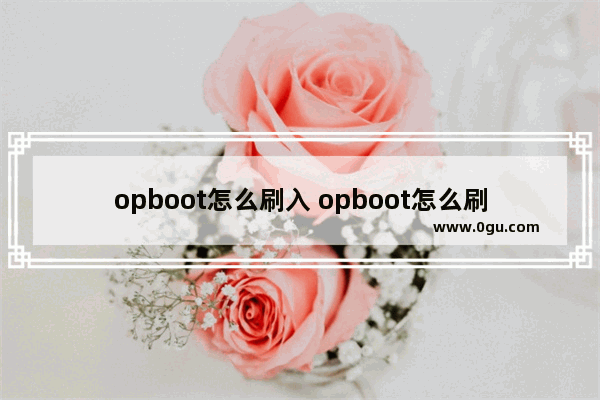 opboot怎么刷入 opboot怎么刷入固件