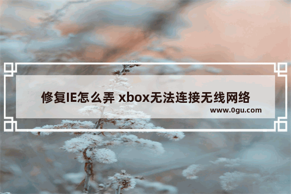 修复IE怎么弄 xbox无法连接无线网络