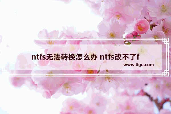 ntfs无法转换怎么办 ntfs改不了fat32