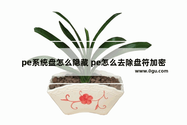 pe系统盘怎么隐藏 pe怎么去除盘符加密