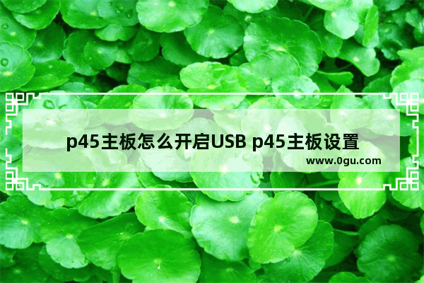 p45主板怎么开启USB p45主板设置u盘启动