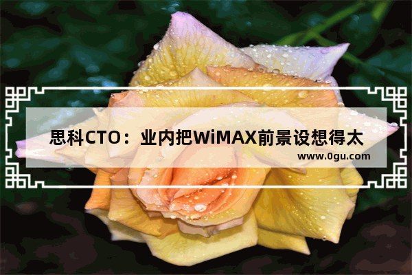 思科CTO：业内把WiMAX前景设想得太过美好