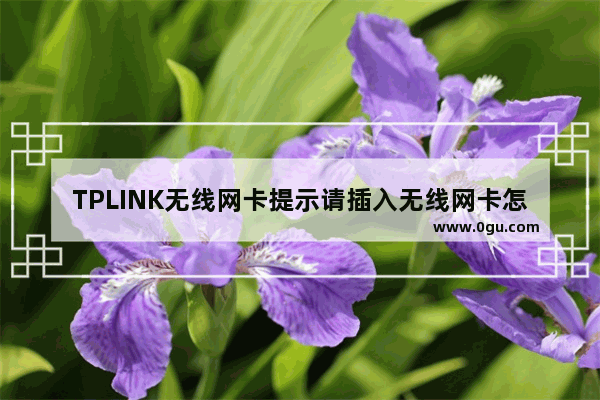 TPLINK无线网卡提示请插入无线网卡怎么回事