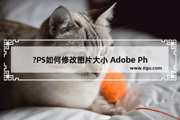 ?PS如何修改图片大小 Adobe Photoshop修改图片大小的方法教程