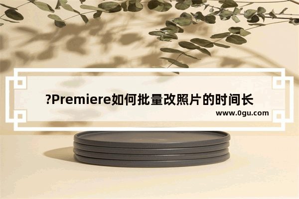 ?Premiere如何批量改照片的时间长度 Adobe premiere批量修改图片长度的方法教程