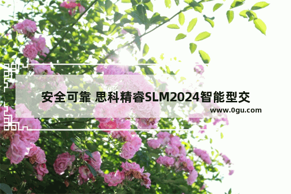 安全可靠 思科精睿SLM2024智能型交换机评测