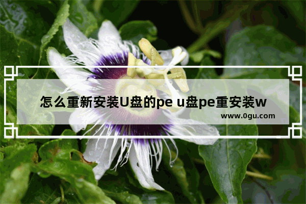 怎么重新安装U盘的pe u盘pe重安装win7系统步骤