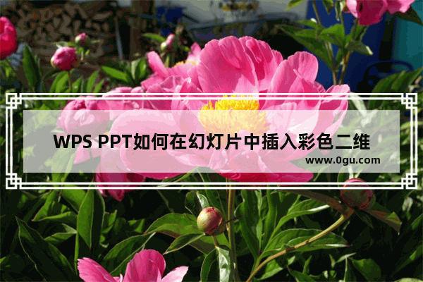 WPS PPT如何在幻灯片中插入彩色二维码 WPS PPT在幻灯片中插入渐变二维码的方法