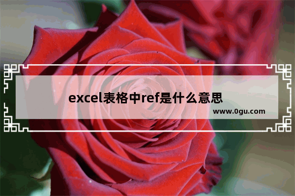 excel表格中ref是什么意思 