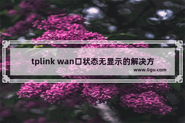 tplink wan口状态无显示的解决方法