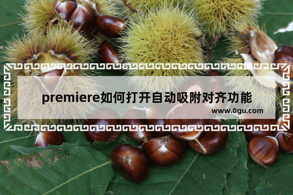 premiere如何打开自动吸附对齐功能 