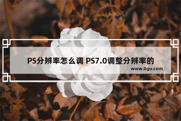 PS分辨率怎么调 PS7.0调整分辨率的方法