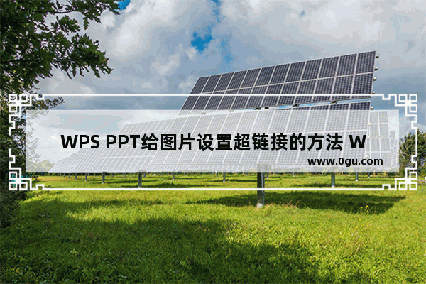 WPS PPT给图片设置超链接的方法 WPS PPT怎么给图片设置超链接