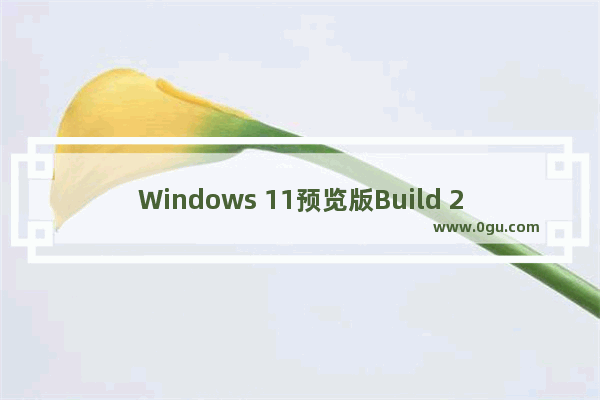 Windows 11预览版Build 25430更新内容介绍