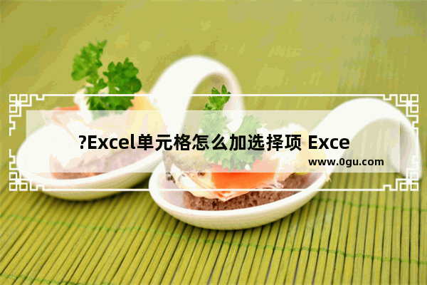 ?Excel单元格怎么加选择项 Excel表格设置选择项的方法教程