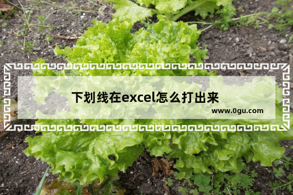 下划线在excel怎么打出来 