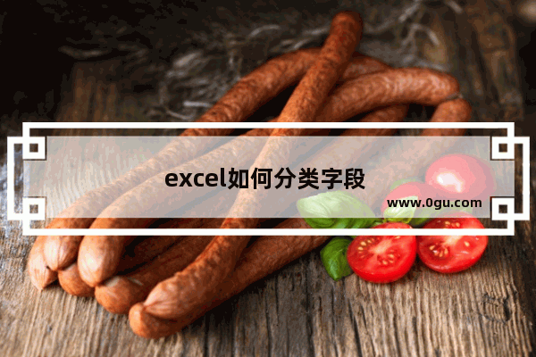 excel如何分类字段 