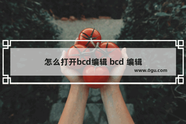 怎么打开bcd编辑 bcd 编辑