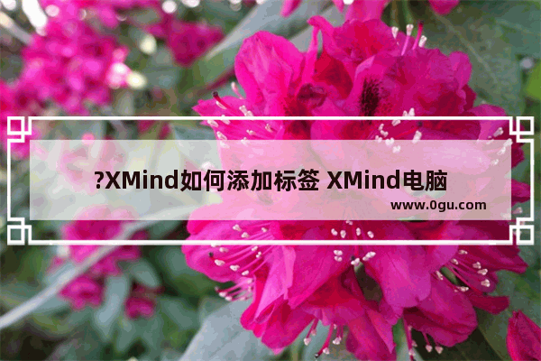 ?XMind如何添加标签 XMind电脑版添加标签的方法教程