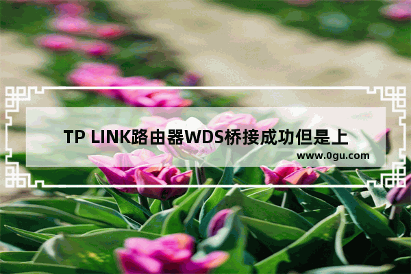 TP LINK路由器WDS桥接成功但是上不了网怎么办？【图解】