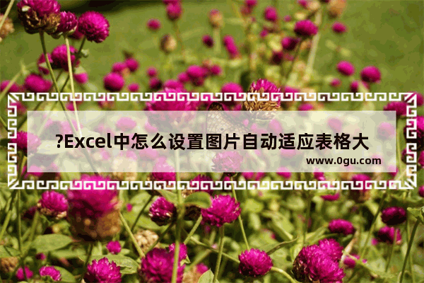 ?Excel中怎么设置图片自动适应表格大小 Excel表格中设置图片自动适应表格大小的方法教程