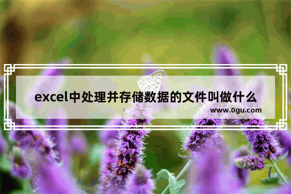 excel中处理并存储数据的文件叫做什么 