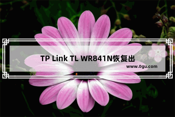 TP Link TL WR841N恢复出厂设置步骤