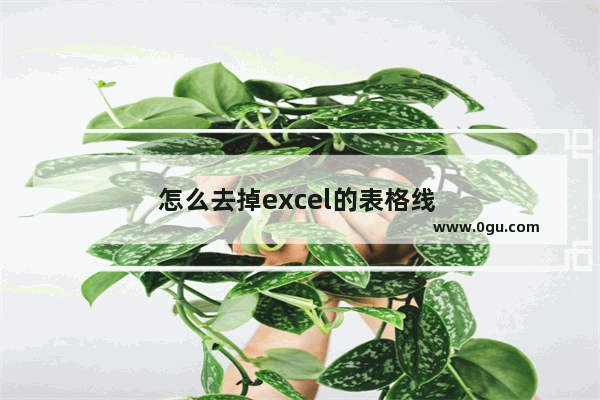 怎么去掉excel的表格线 