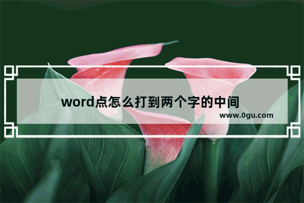 word点怎么打到两个字的中间 