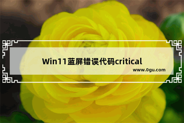 Win11蓝屏错误代码critical