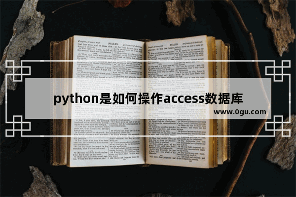 python是如何操作access数据库的 