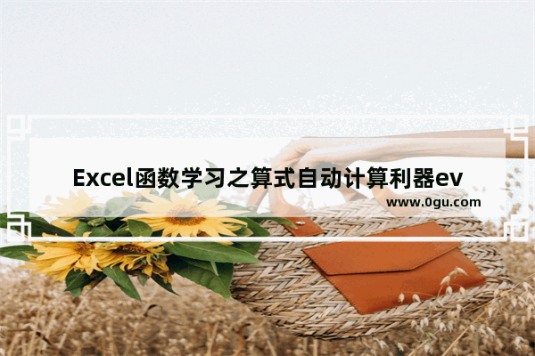 Excel函数学习之算式自动计算利器evaluate()的应用 