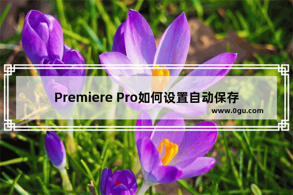 Premiere Pro如何设置自动保存