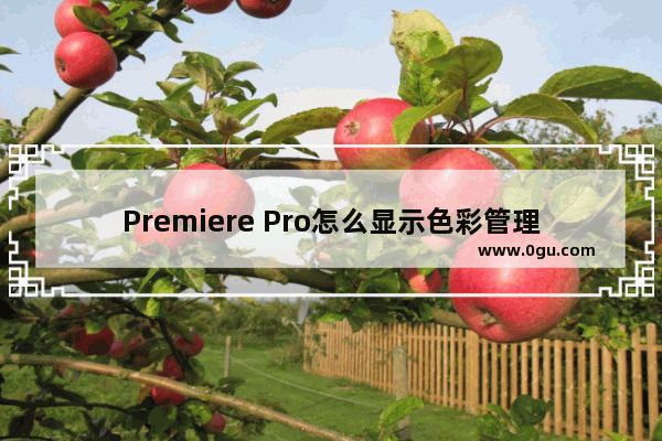 Premiere Pro怎么显示色彩管理