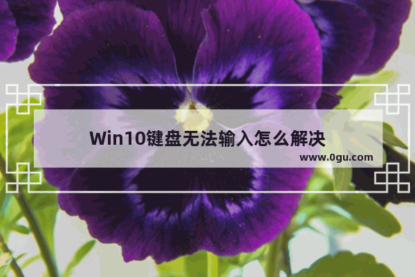 Win10键盘无法输入怎么解决