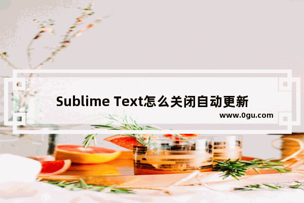 Sublime Text怎么关闭自动更新