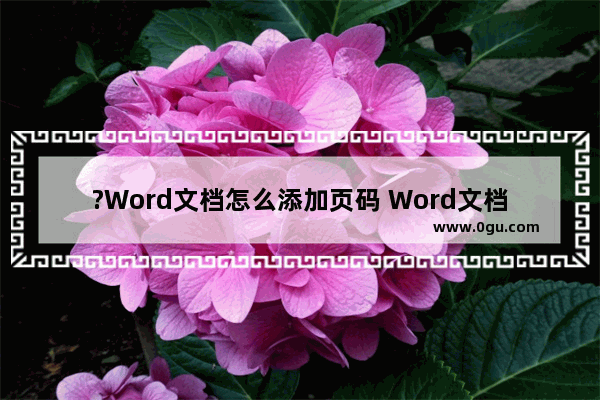 ?Word文档怎么添加页码 Word文档添加页码的方法教程