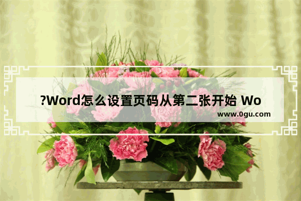 ?Word怎么设置页码从第二张开始 Word文档设置页码从第二页开始的方法教程