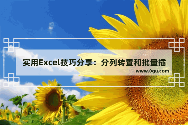 实用Excel技巧分享：分列转置和批量插入文字 